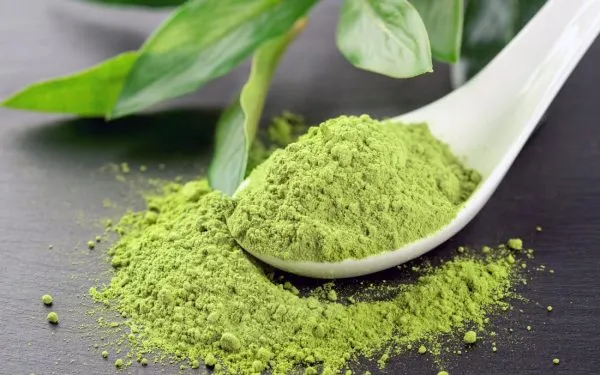 Matcha Powder | Organic BIO