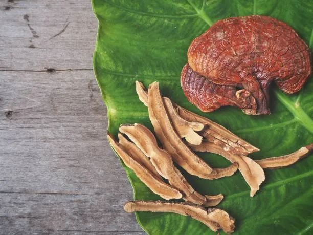 Reishi Mushroom Powder | Organic BIO