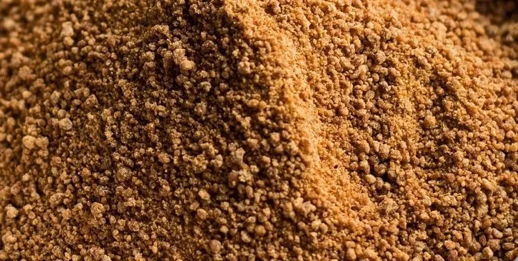 Coconut Sugar | Organic BIO