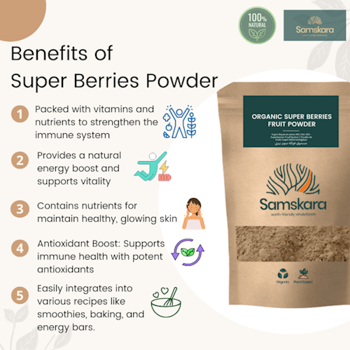 8 Super Berry Fruit Powder | Blend of Baobab, Camu Camu, Lucuma, Acerola, Blueberry, Maqui, Acai, Maca | Organic BIO