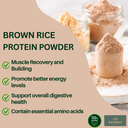 Brown Rice Protein Powder (80%) | Organic BIO