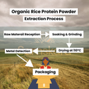 Brown Rice Protein Powder (80%) | Organic BIO