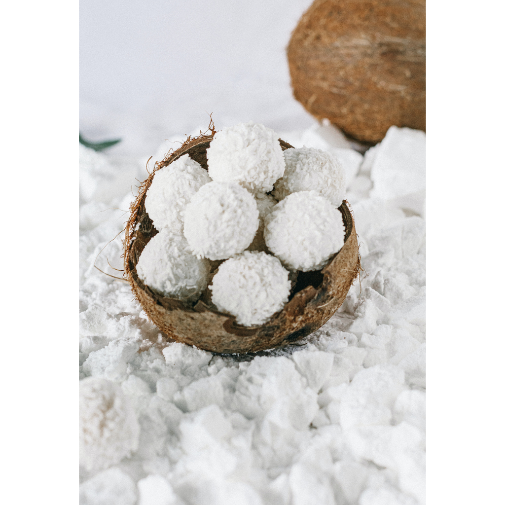 Coconut Milk Powder | Organic BIO 