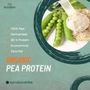 Fermented Pea Protein Powder (83%) | Organic BIO