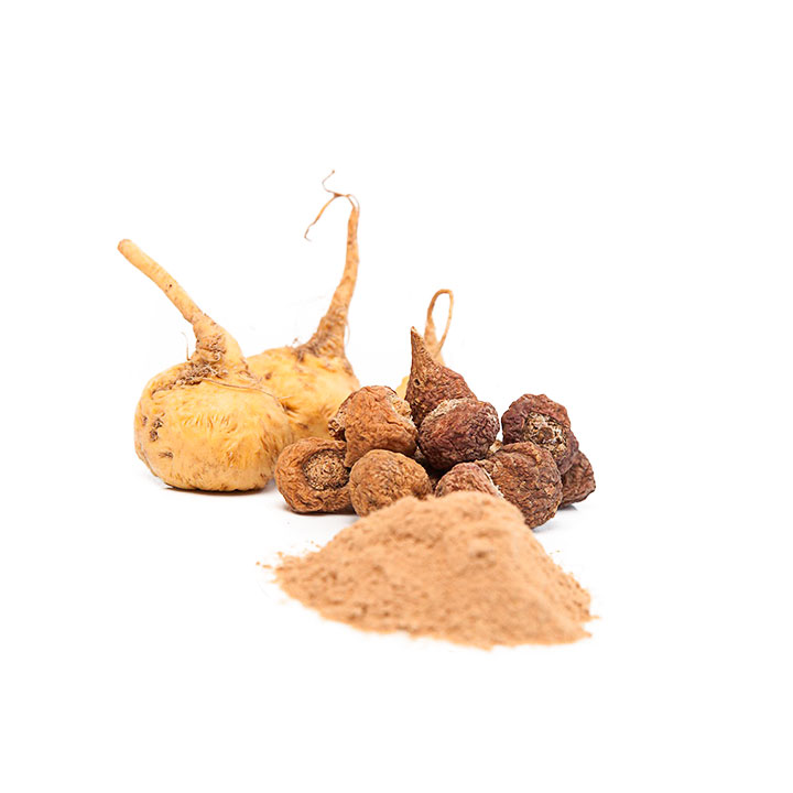 Maca Powder | Organic BIO