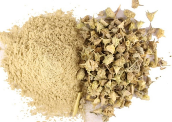 Tribulus Terrestris powder - Organic Bio